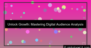 ilustrasi digital audience analysis