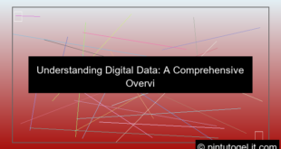 desain digital data overview