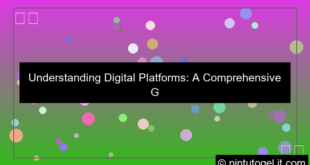 digital platform explanation