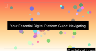 digital platform guide