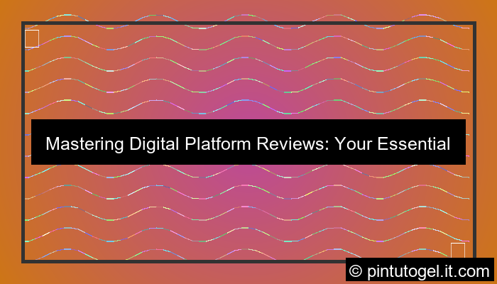 digital platform review