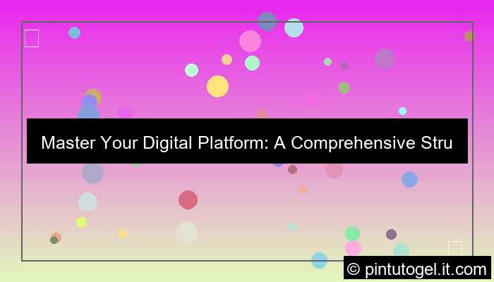 digital platform structure guide