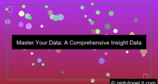 insight data overview