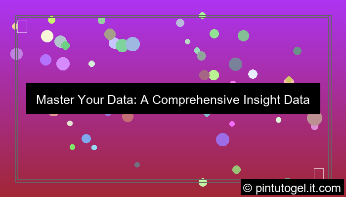 insight data overview