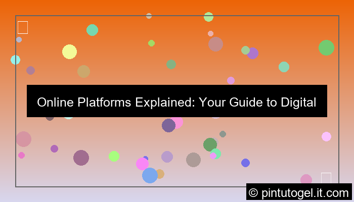 online platform explanation