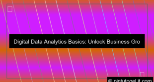 visual digital data analytics basics