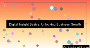 digital insight basics