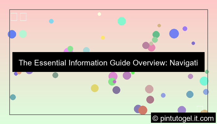 information guide overview