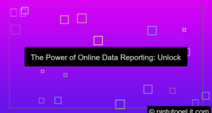 visual online data reporting
