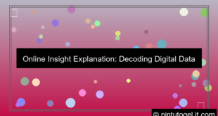 ilustrasi online insight explanation