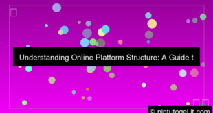 online platform structure
